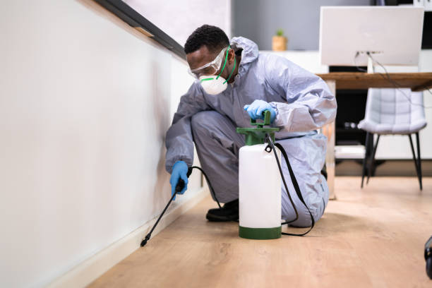 Best Residential Pest Control  in Huber Heights, OH